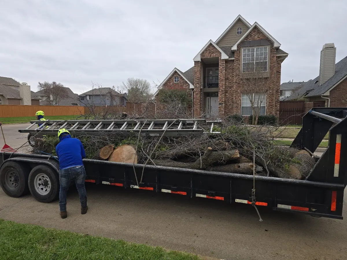 Expert Lot Clearing with proper safety equipment in Brunswick